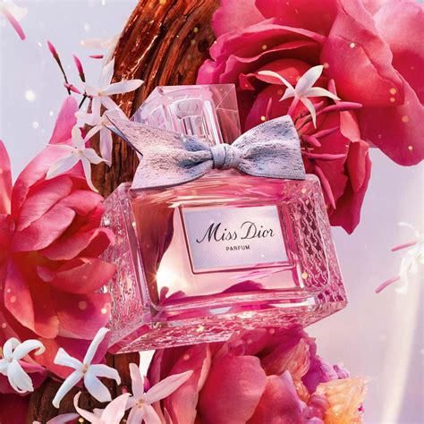 christian dior miss dior parfum 2024|Miss Dior perfume 2024.